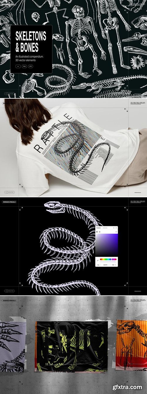 Studio2am - Skeletons & Bones Vector Set