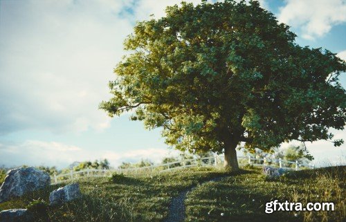 The Grove v1.1 + Full Twigs Library