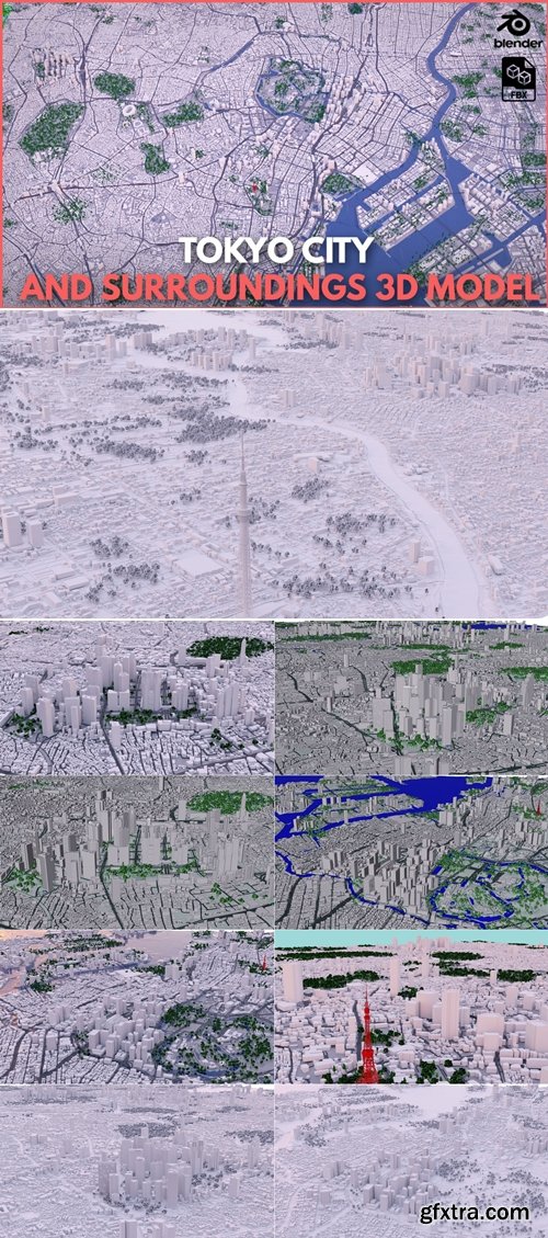 Tokyo City and Surroundings 3D model