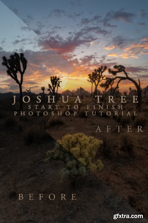 Joshua Tree - Start to Finish Tutorial