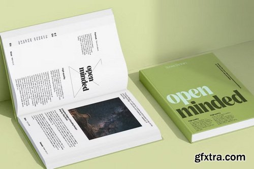 CreativeMarket - Signora Classica - 110 Font