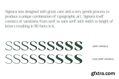 CreativeMarket - Signora Classica - 110 Font