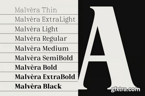 Malvera Variable Serif Typeface - 108 Font