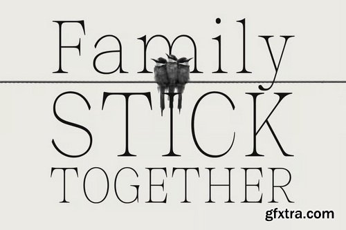 Malvera Variable Serif Typeface - 108 Font