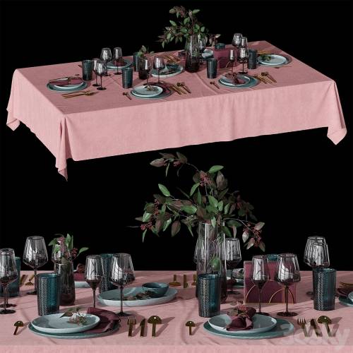 '3dsky Pro - Table setting'
