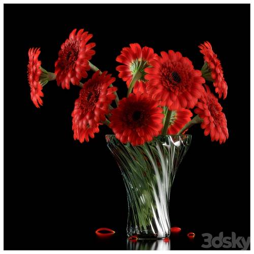 '3dsky Pro - RED GERBERA'