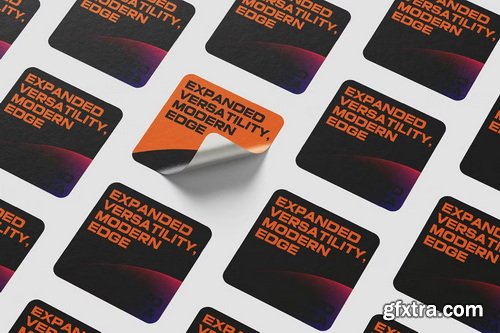 CreativeMarket - Prolinea Family- 20 Font