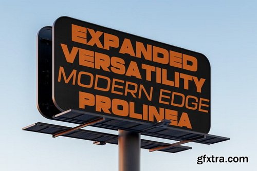 CreativeMarket - Prolinea Family- 20 Font