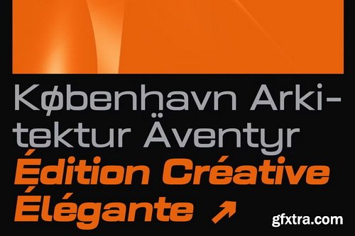 CreativeMarket - Prolinea Family- 20 Font