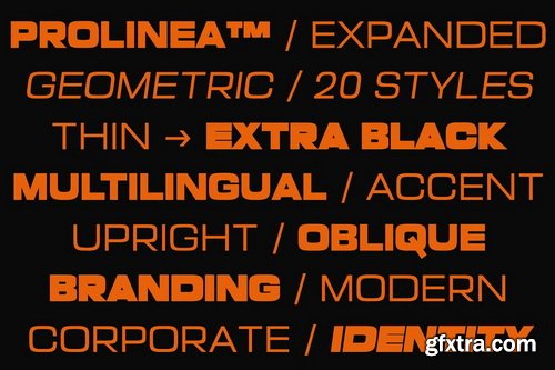 CreativeMarket - Prolinea Family- 20 Font