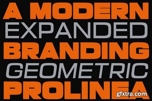 CreativeMarket - Prolinea Family- 20 Font