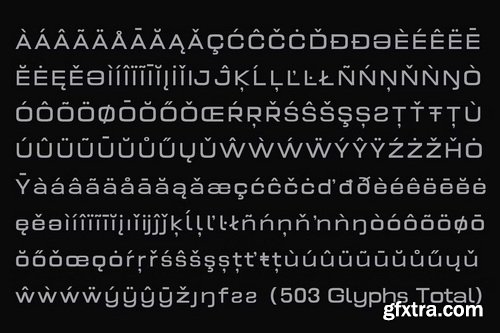 CreativeMarket - Prolinea Family- 20 Font