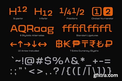 CreativeMarket - Prolinea Family- 20 Font