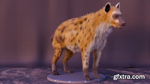 Udemy - Hyena groom techniques in Houdini