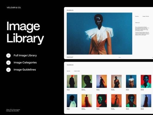 'Premium Brand Guidelines System'