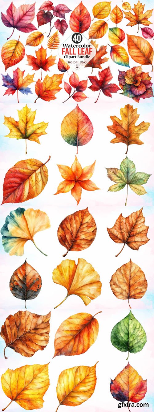 40 Watercolor Fall Leaf Clipart Bundle