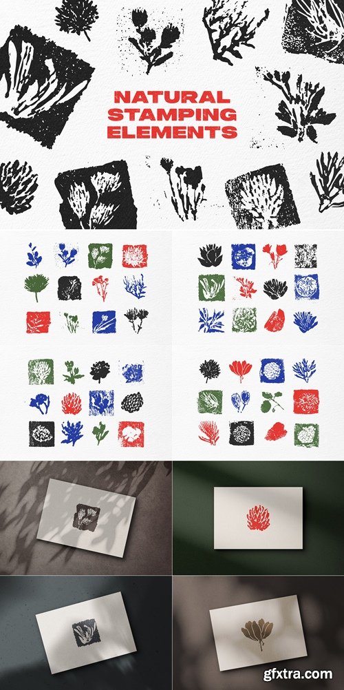 CreativeMarket - Natural Stamping Elements 13411728