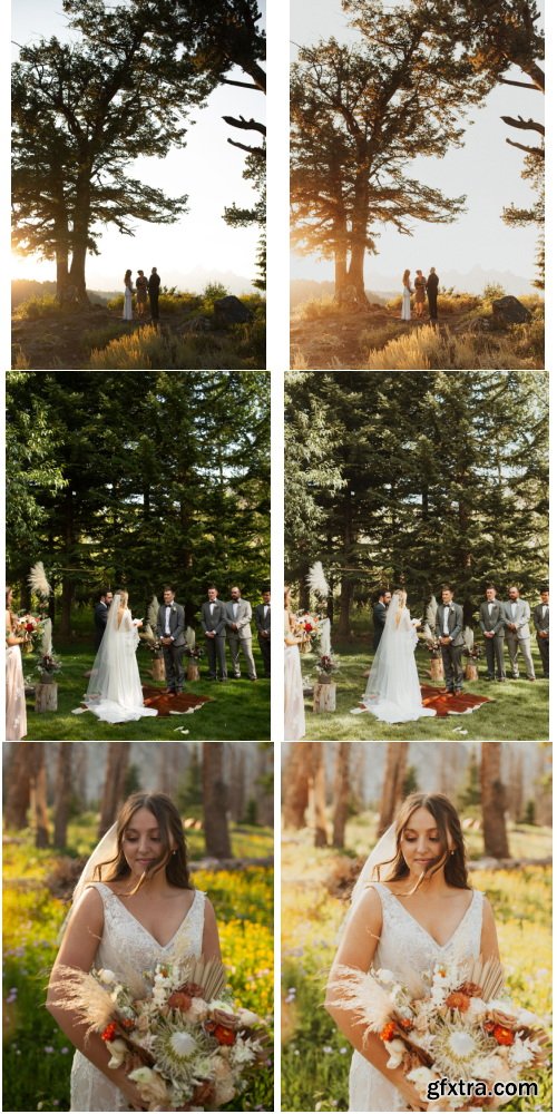 FTWW Preset Pack Desktop