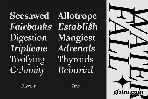 CreativeMarket - Aquina 12 Font Family