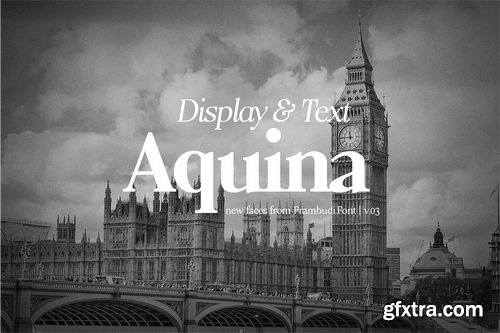 CreativeMarket - Aquina 12 Font Family