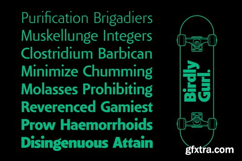 CreativeMarket - Bella Sans - 16 Font