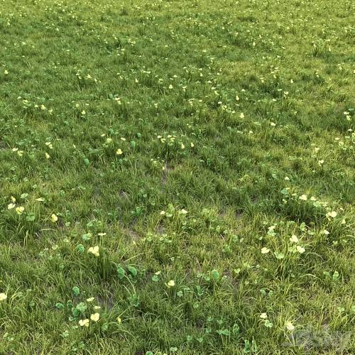 '3dsky Pro - grass for lanscape 06'