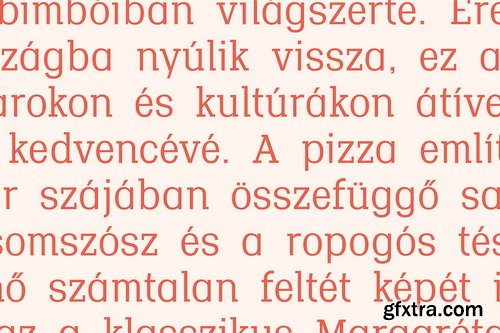 CreativeMarket - Rockgrit Half Slab - 7 Fonts