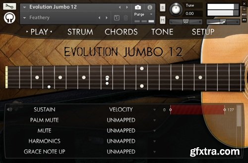 Orange Tree Samples Evolution Jumbo 12 v1.3.0