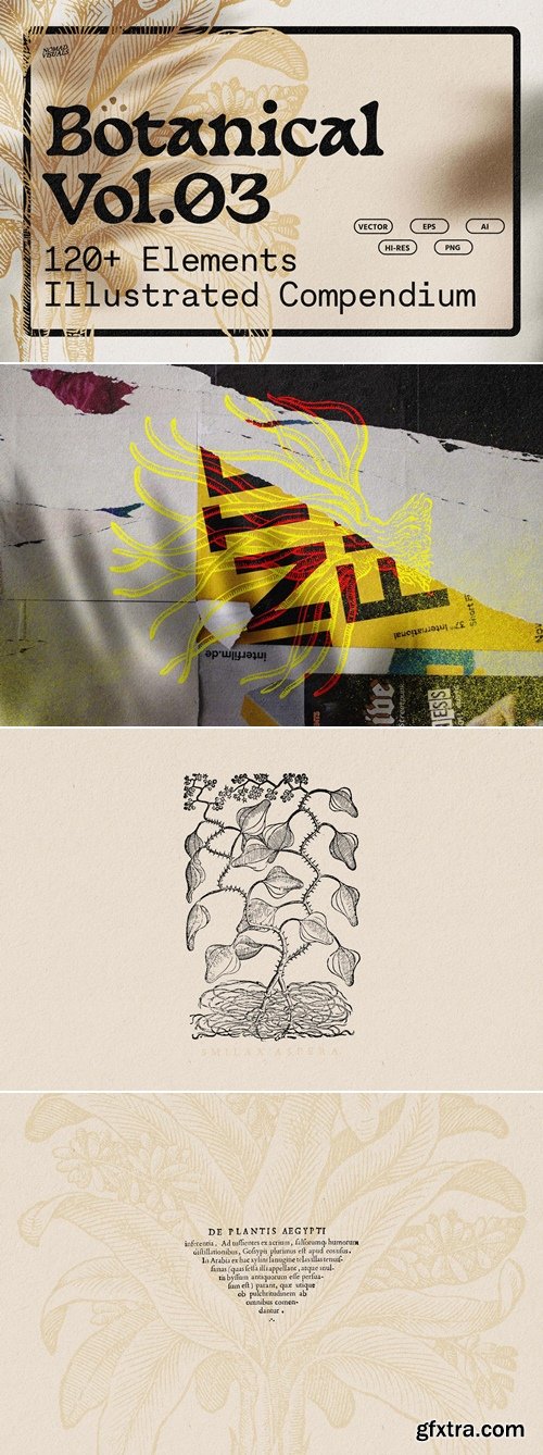 Studio2am - Botanical Illustrations