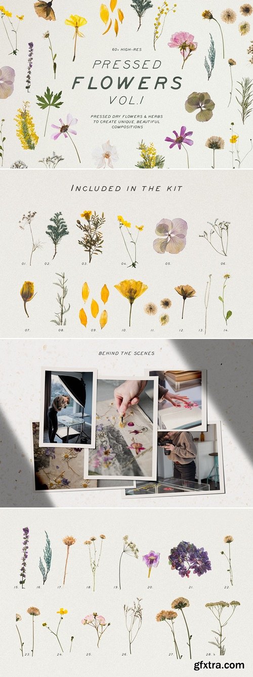 CreativeMarket - Pressed Dry Flowers & Herbs Vol.1 3997653