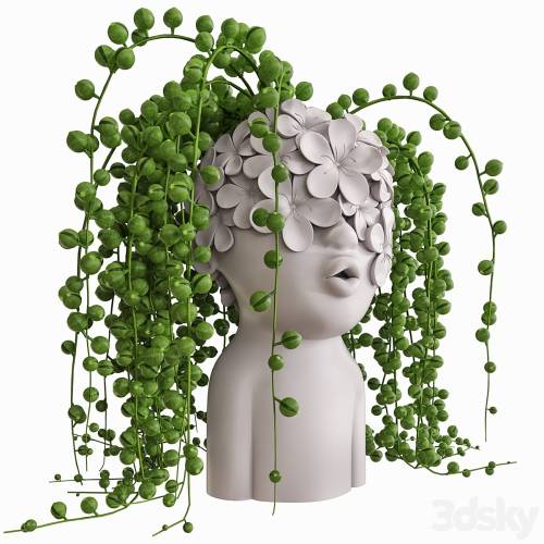 '3dsky Pro - bouquet set' '3dsky Pro - bouquet set'