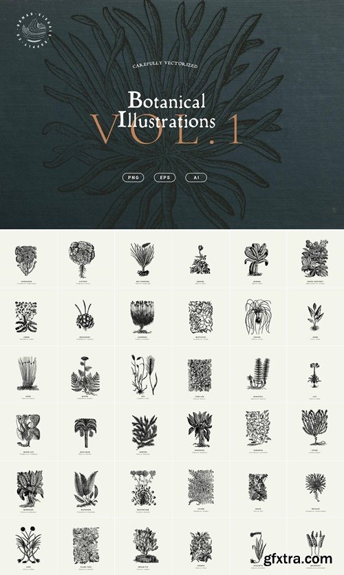 Studio2am - Botanical Illustrations Vol.01