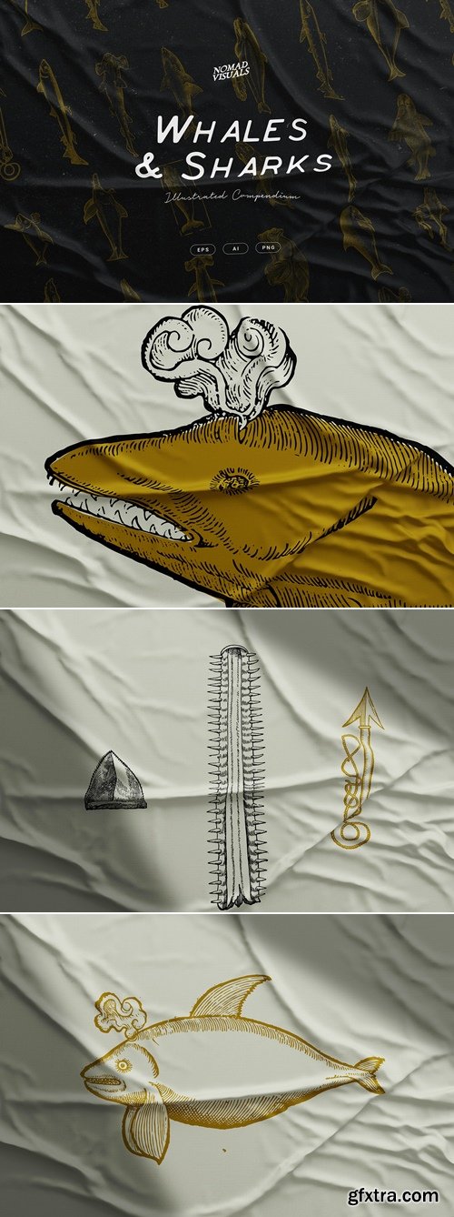 CreativeMarket - Whales & Sharks Illustrations 4018348