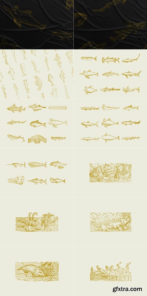 CreativeMarket - Whales & Sharks Illustrations 4018348