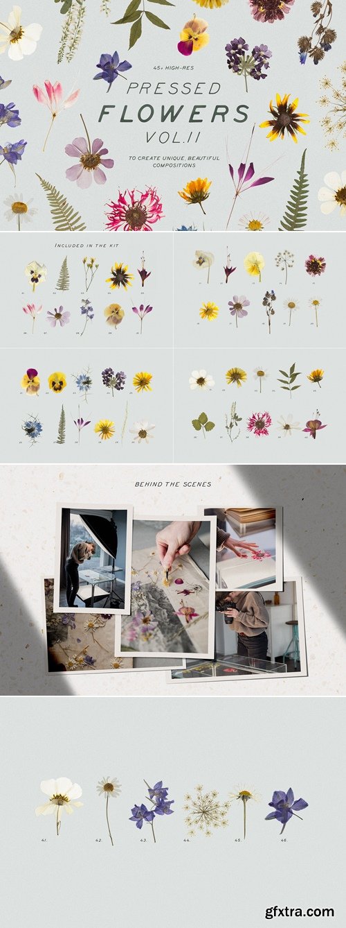 CreativeMarket - Pressed Dry Flowers & Herbs Vol.2 4085810
