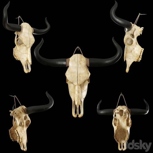 '3dsky Pro - Cow skull'