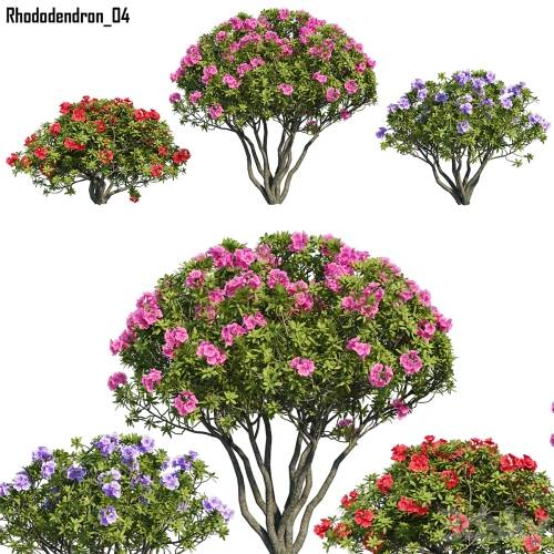 '3dsky Pro - Rhododendron 04'