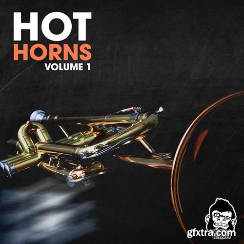 Vanilla Groove Studios Hot Horns Vol 1