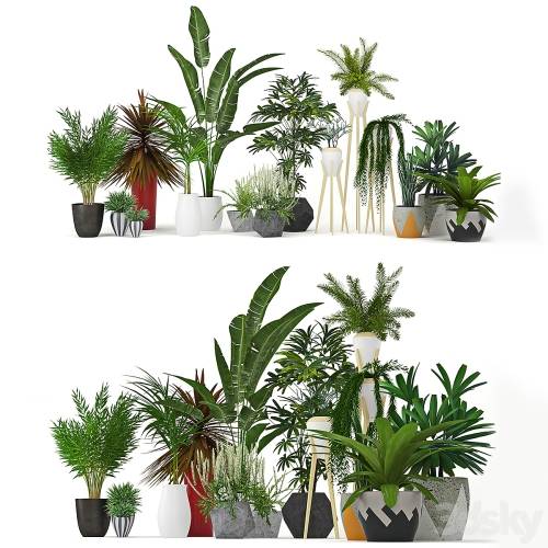 '3dsky Pro - Plants Collection'