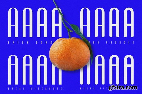 CreativeMarket - ZT Break Fast Sans Condensed - 16 Font