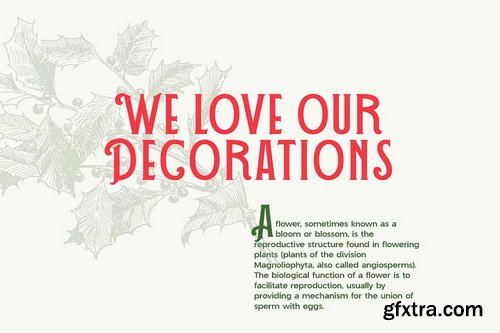 CreativeMarket - The Christmas Font Duo