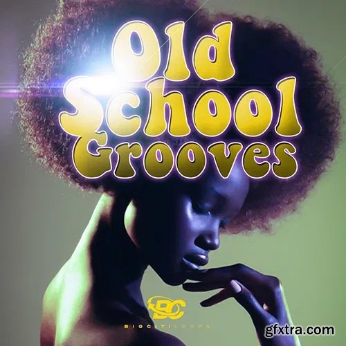Big Citi Loops Old School Grooves