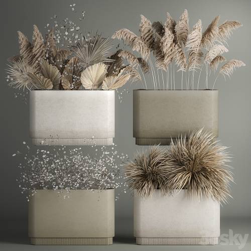 '3dsky Pro - Collection of plant bouquets of dried flowers, moonflower, dry palm branches, dry grass, natural decor .1121.'