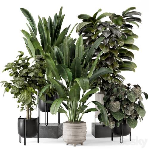 '3dsky Pro - Indoor Plants in Ferm Living Bau Pot Large - Set 1208'