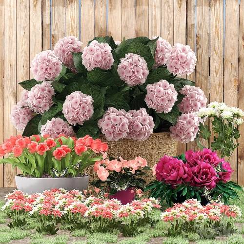 '3dsky Pro - Flower beds'