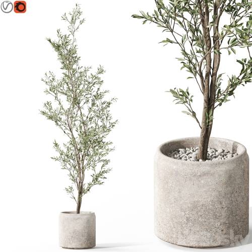 '3dsky Pro - Plants collection 1050' '3dsky Pro - Plants collection 1050'