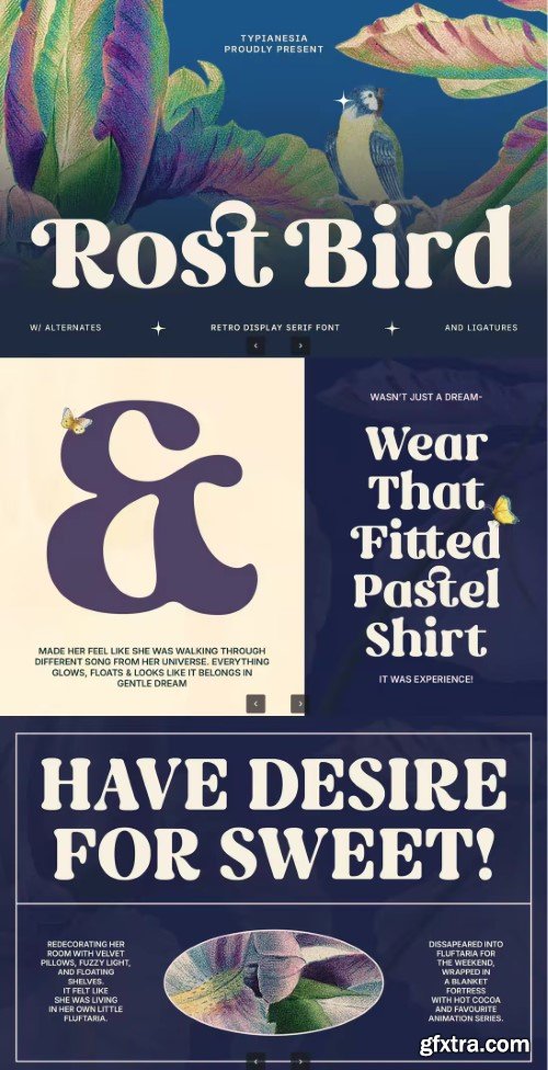 Creativemarket - Rost Bird - Soft Retro Display Serif Font