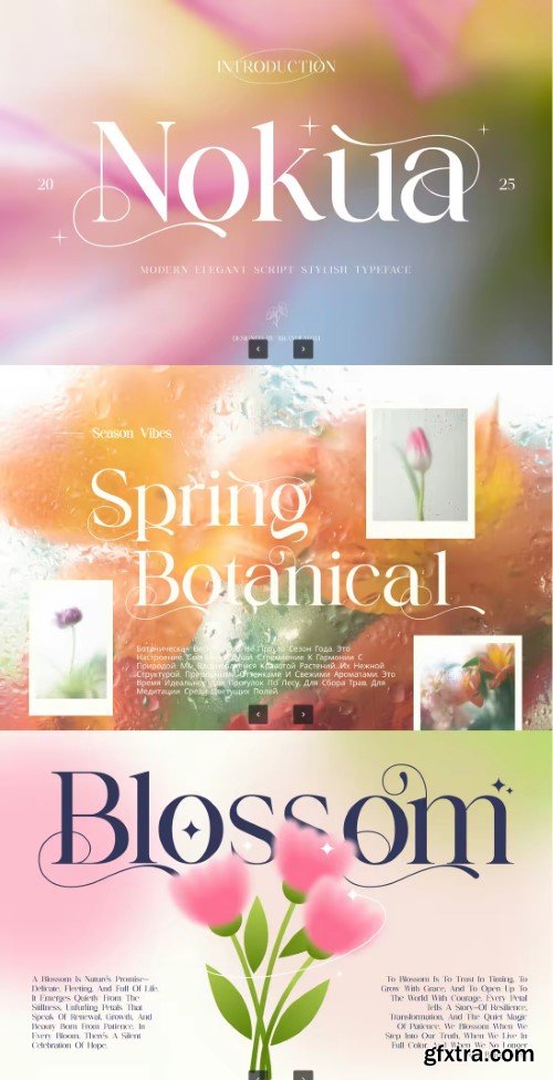 Nokua Elegant Script