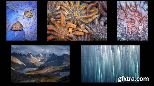 Naturephotocollective - Eric Bennett - \
