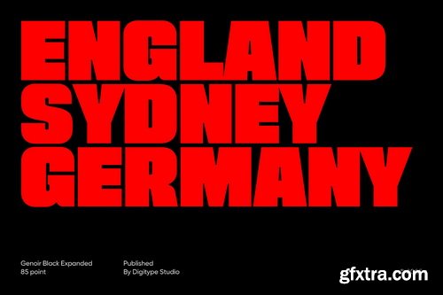 CreativeMarket - Genoir Bold Display Font Family